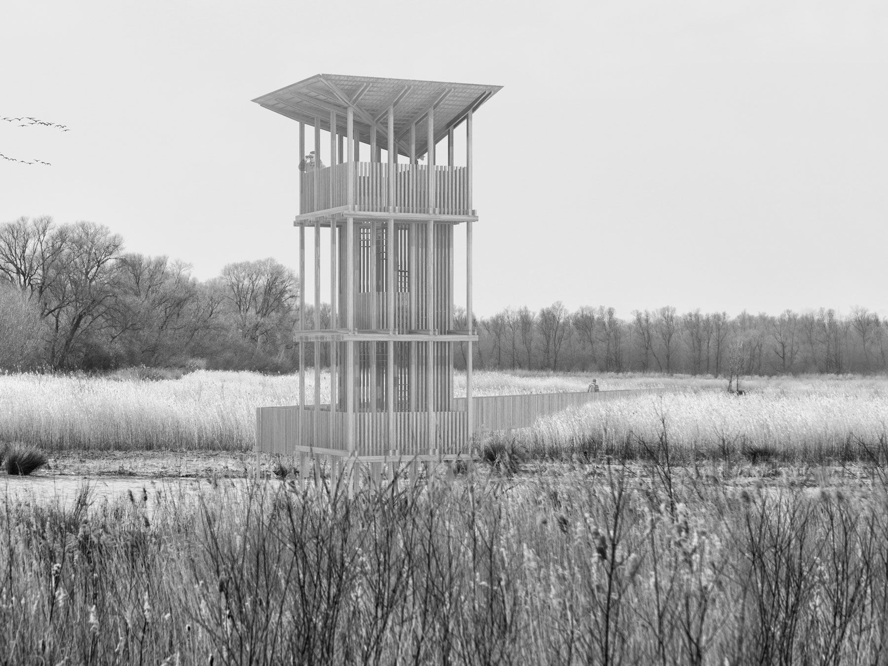 Jan-Konings-Bird-Watch-Tower-Perspective-1