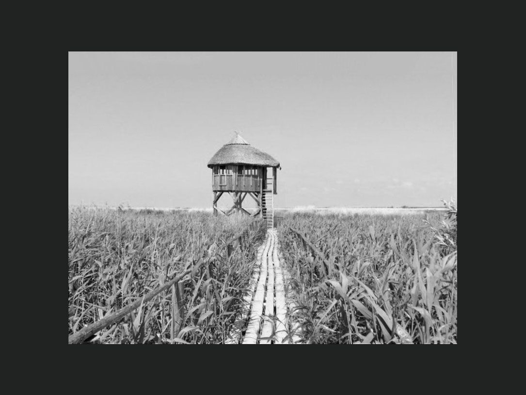 Jan Konings Previous Former Bird Watch Tower Lake Pape