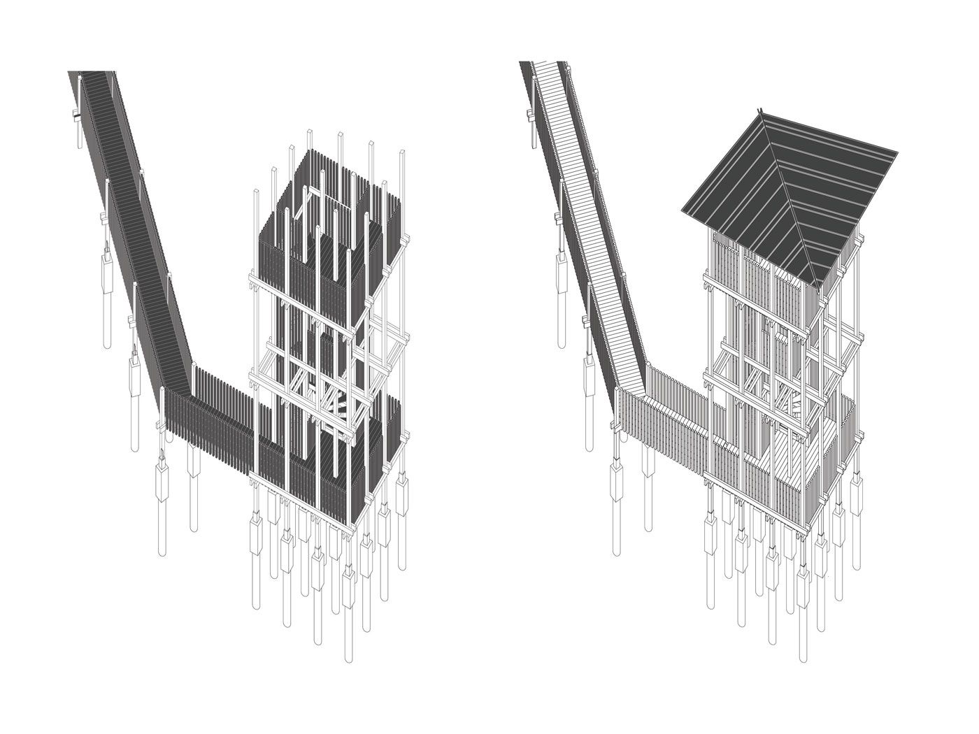 Jan Konings Bird Watch Phase 3 and 4