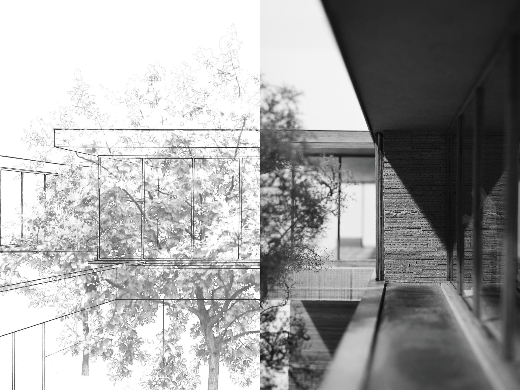 Jan-Konings-Extended-Household