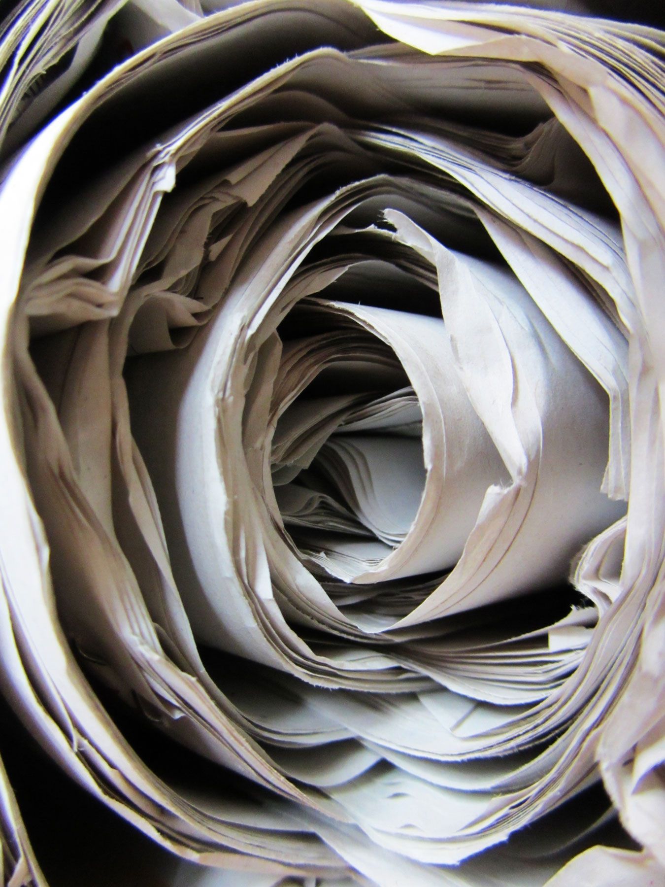 Jan-Konings-Material-Research-Newspapers-Rose