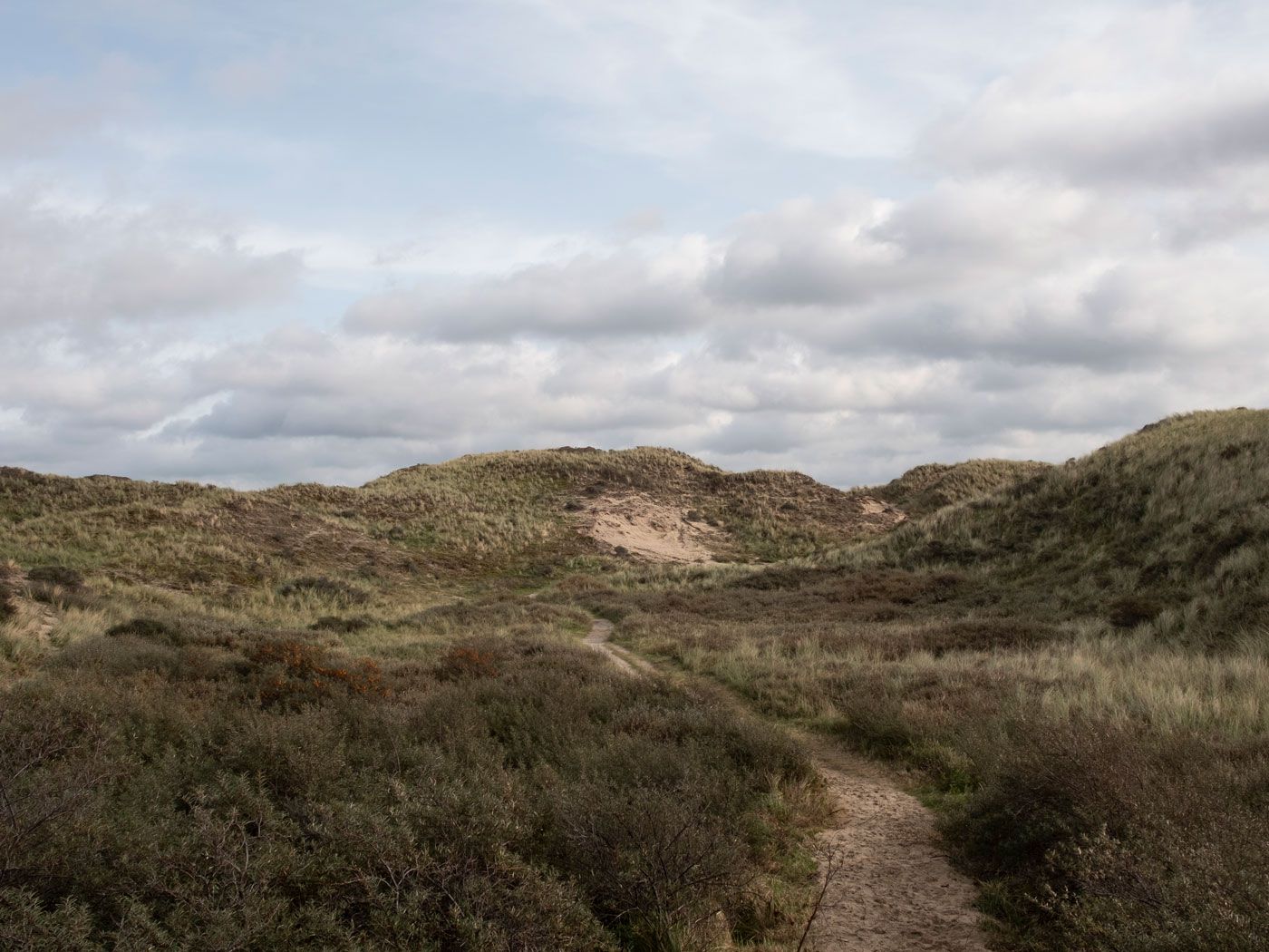 Jan Konings Photography Kennemer Duinen