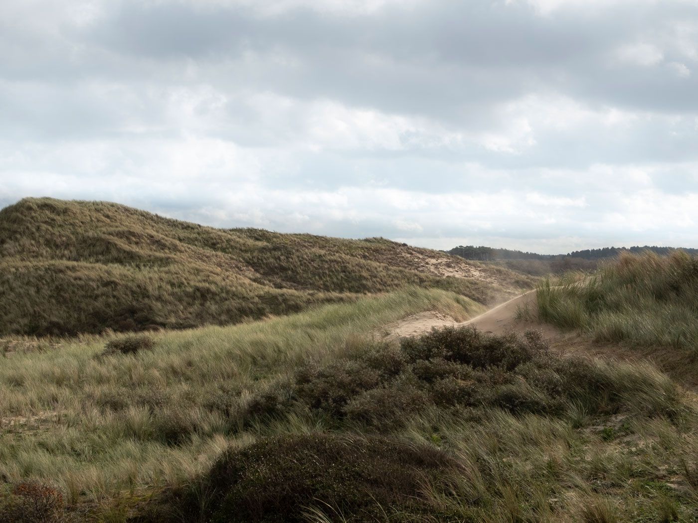 Jan Konings Photography Kennemer Duinen